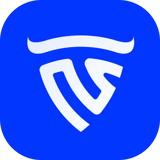 Bullwaves logo